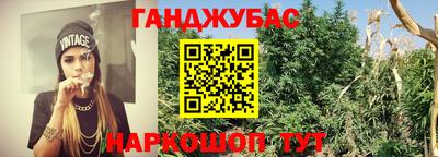 прущие грибы Уссурийск