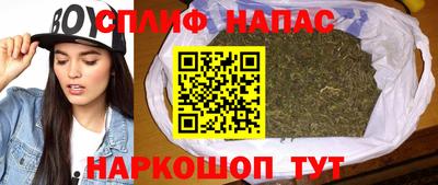 прущие грибы Уссурийск