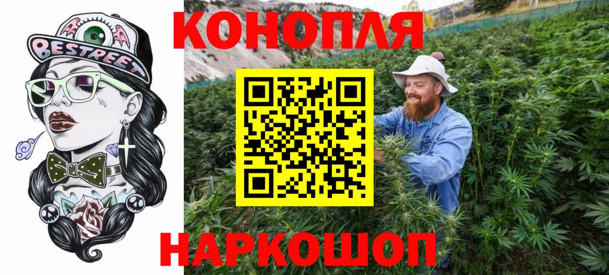 Конопля MAZAR Майский